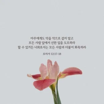 로마서 12장 설교 아이디어 말씀 준비 강해_26