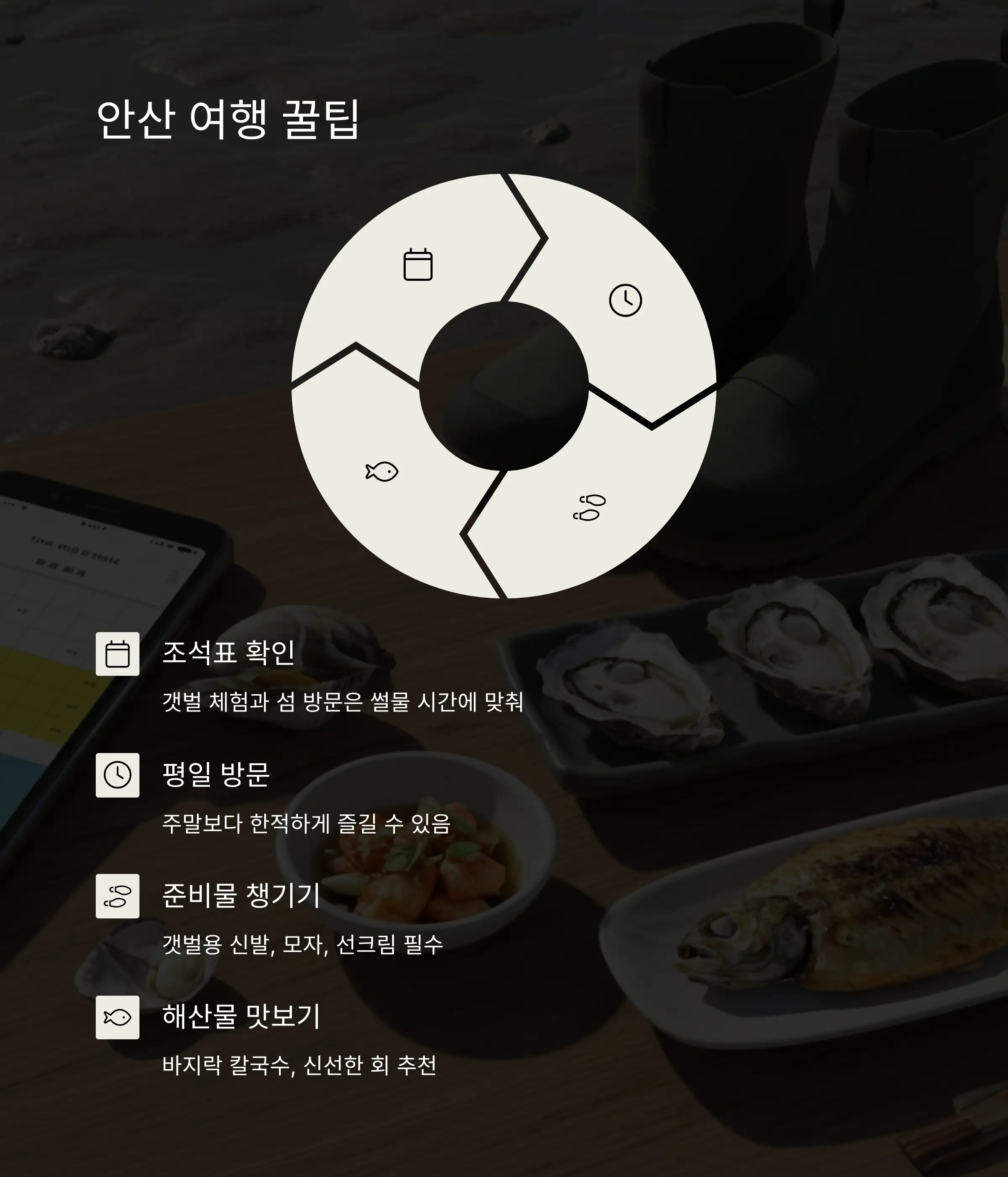 💡 안산 여행 꿀팁