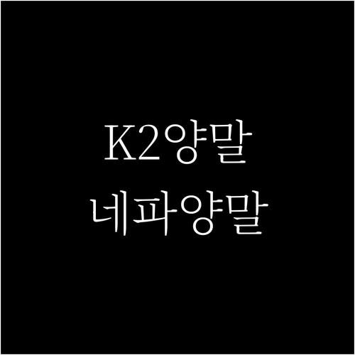 기능성 양말 추천 K2 세이프티, 네