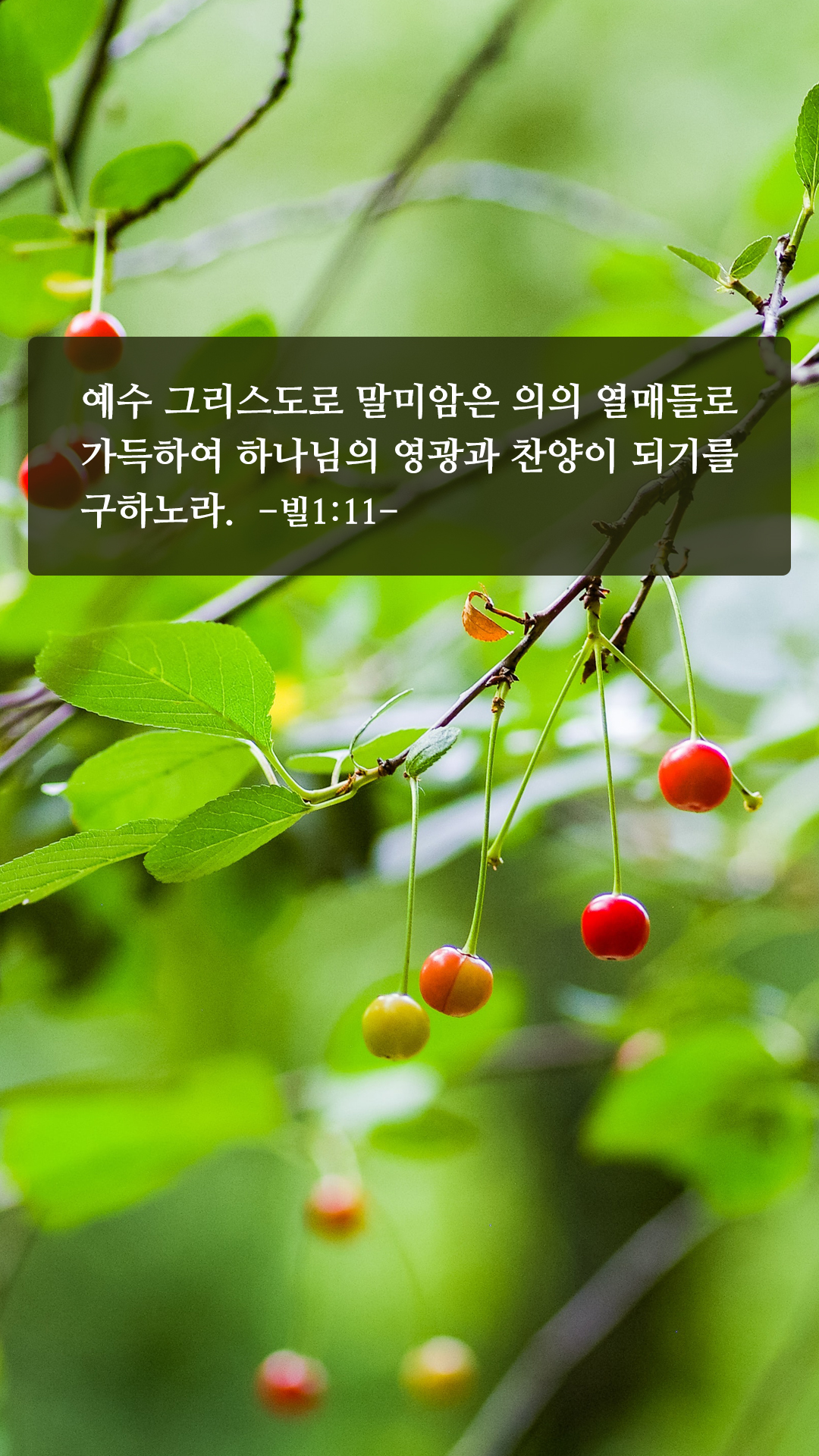 좋은 성경구절