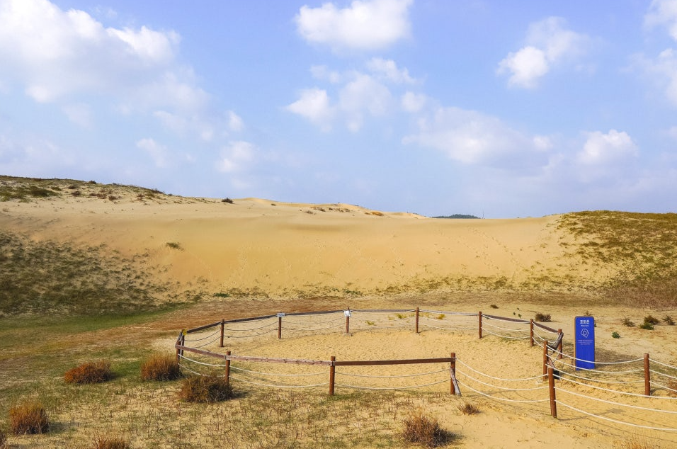 태안 신두리해안사구1