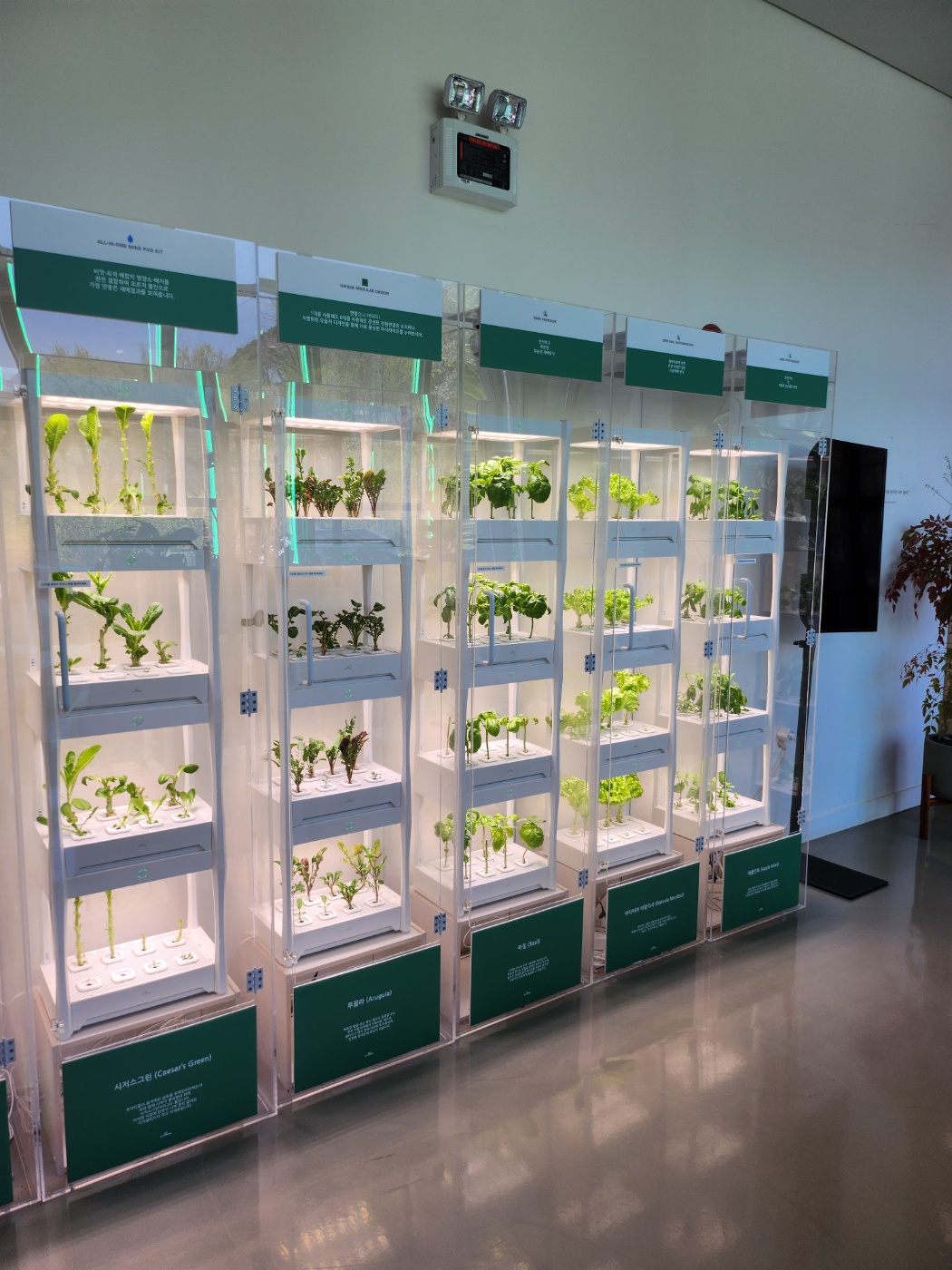 식물 키우는 기기