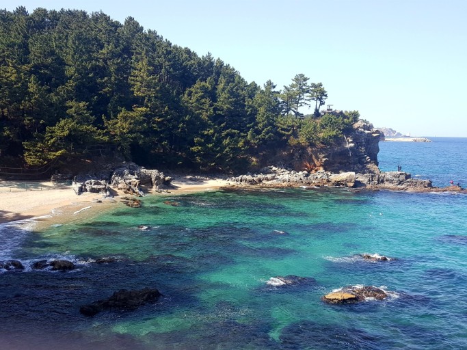 감추해변