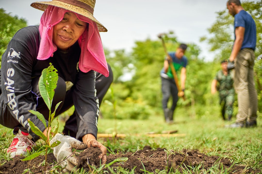 Planting