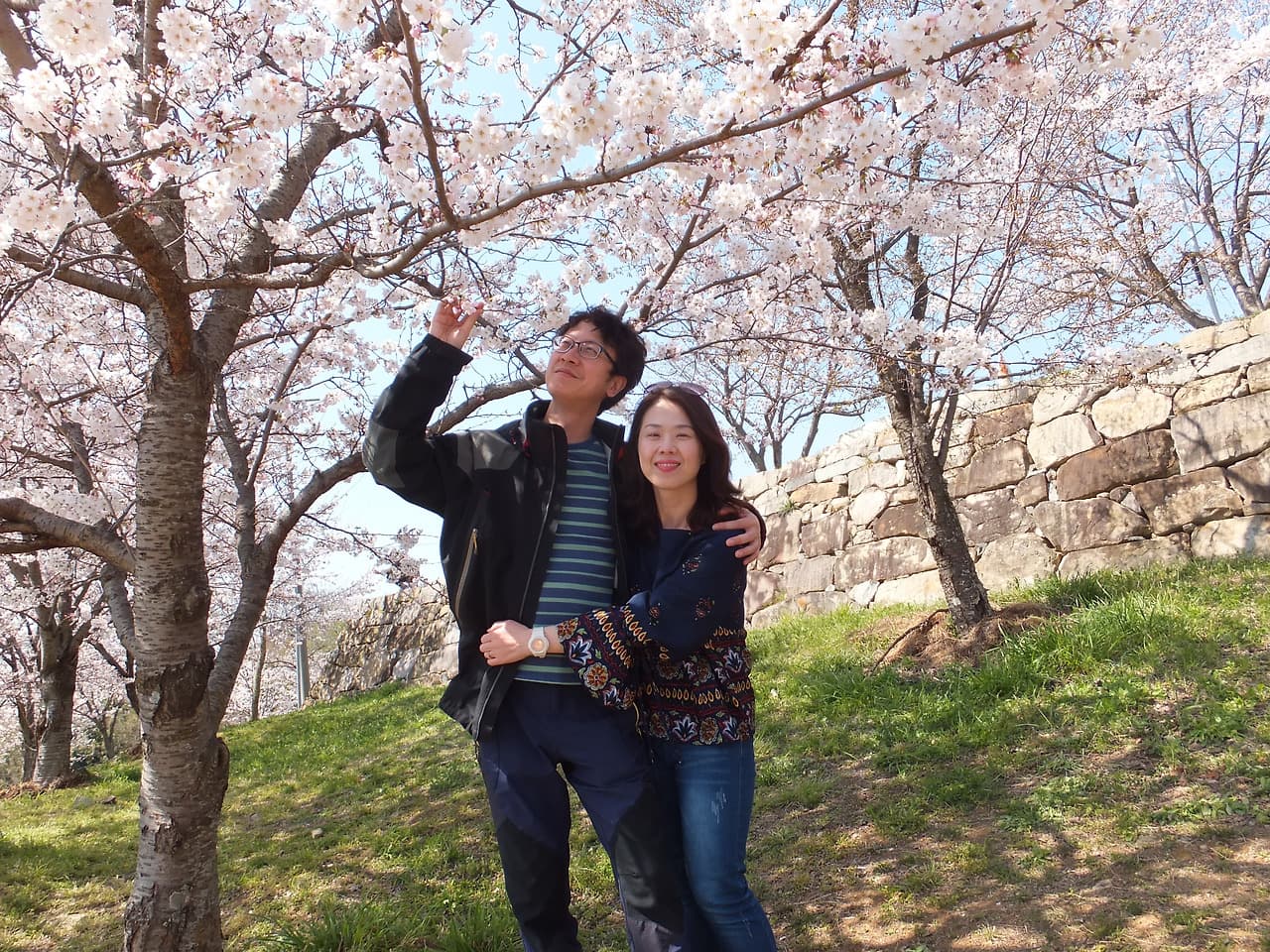 벚꽃나무아래 그녀와 나