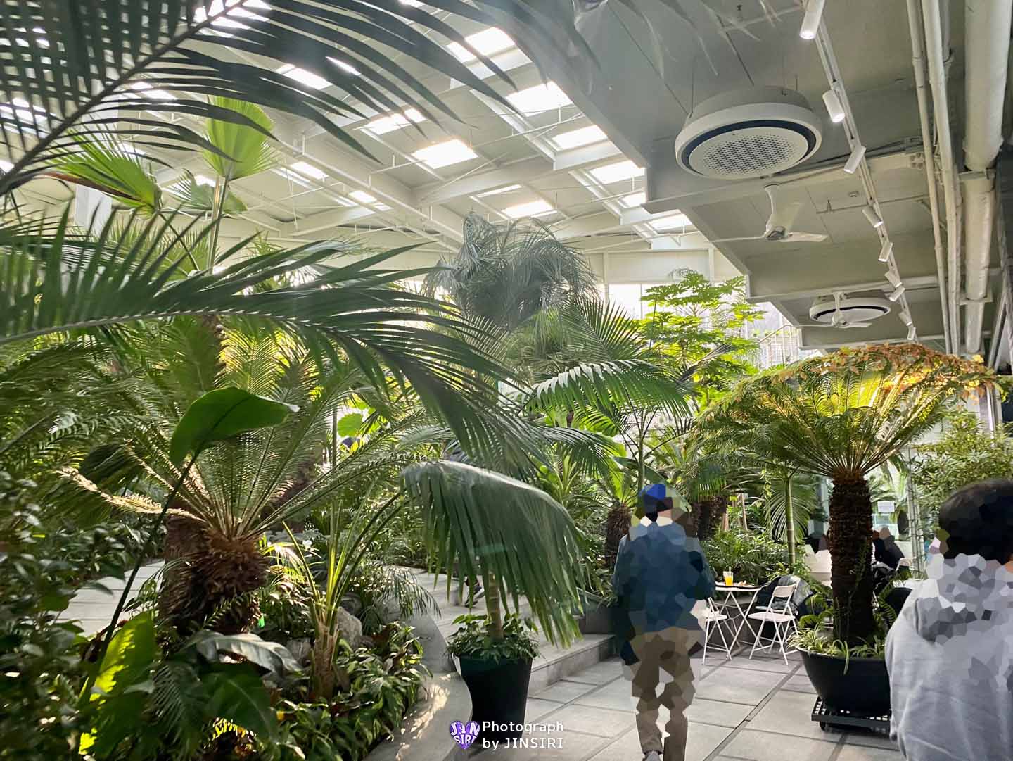 경기도 파주 대형 식물원 베이커리 브런치 카페 서울근교