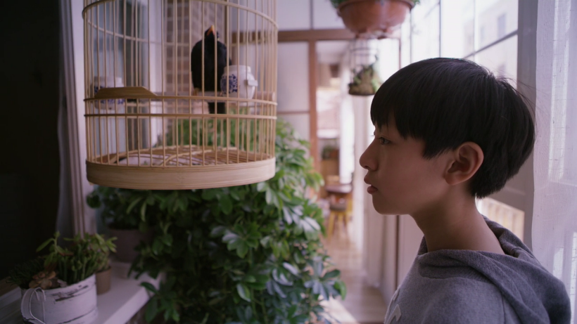 라스트레터-중국판-스틸컷15