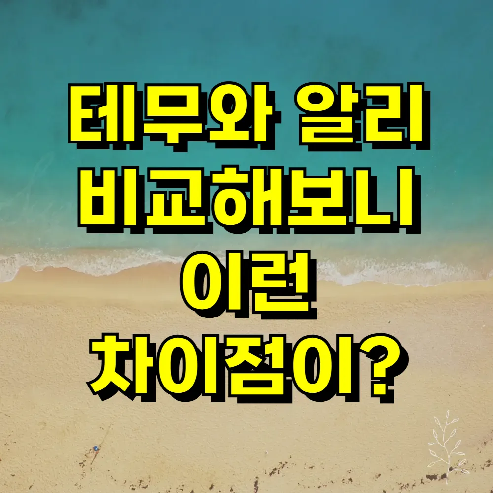 테무와 알리 비교해보니 이런 차이점이