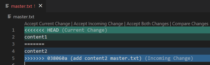 master.txt-파일-충돌