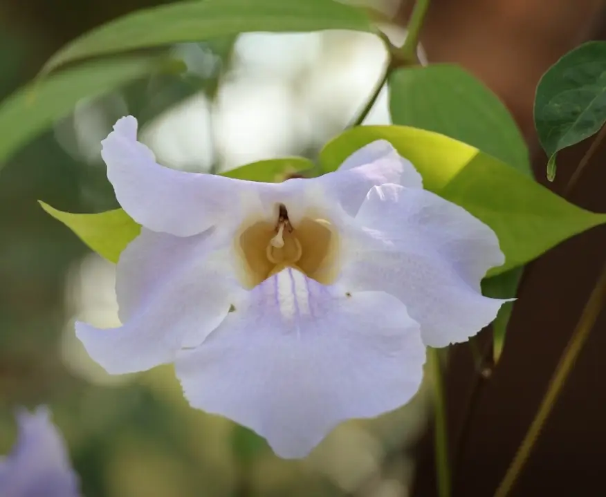 일월수목원-입장료-주차요금-관람시간