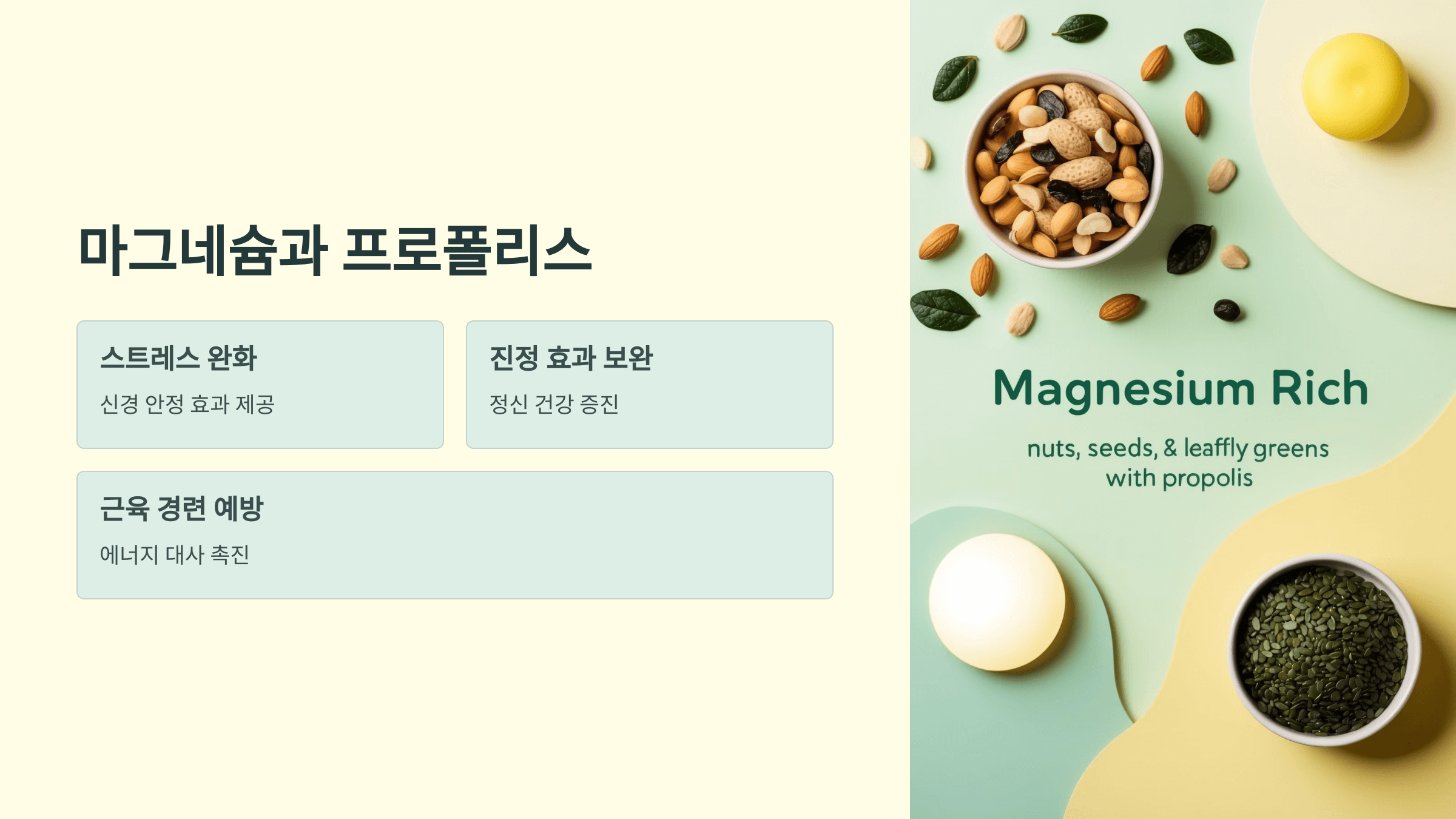 프로폴리스와 관련된 사진입니다.