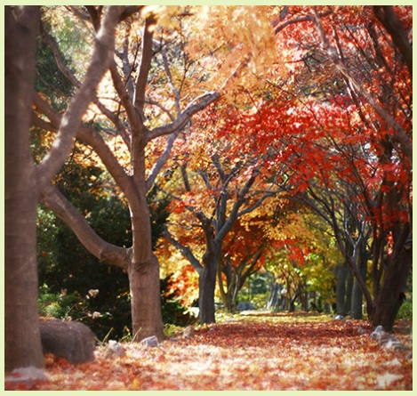 벽초지수목원