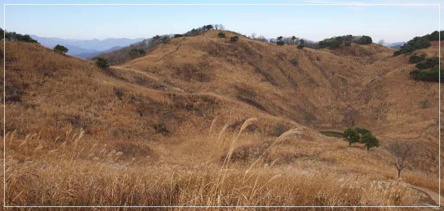 정선 가볼만한곳 베스트10 민둥산 억새평원