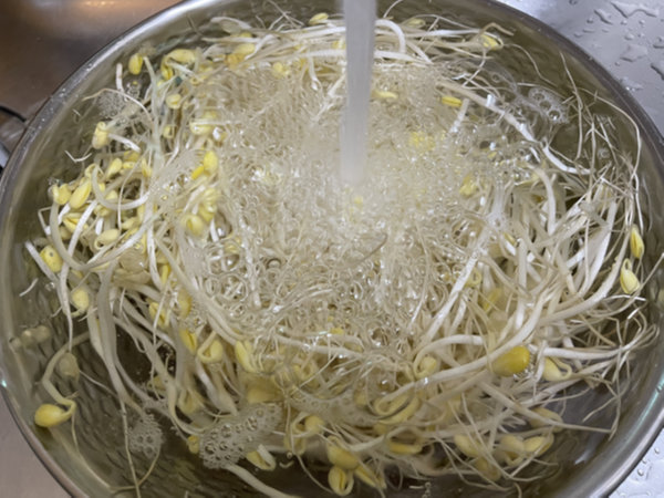 콩나물국 맛있게 끓이는 법 - 콩나물 깨끗하게 씻기