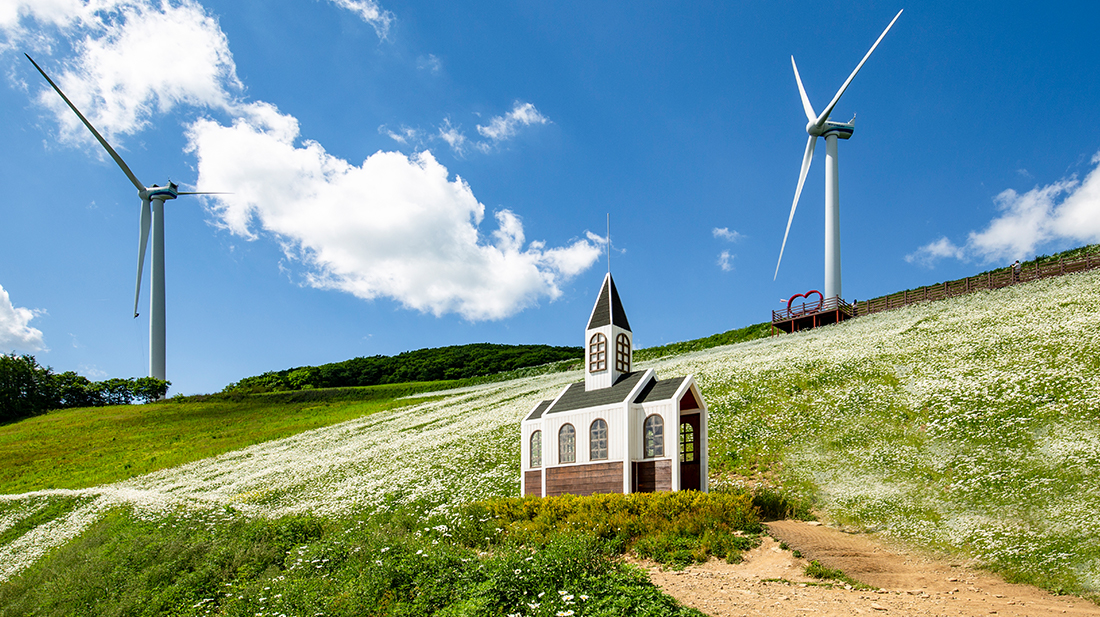 청옥산 육백마지기