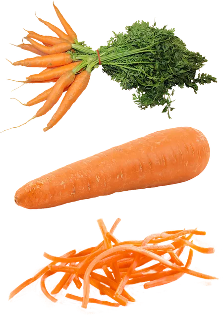 수능 도시락 반찬 추천