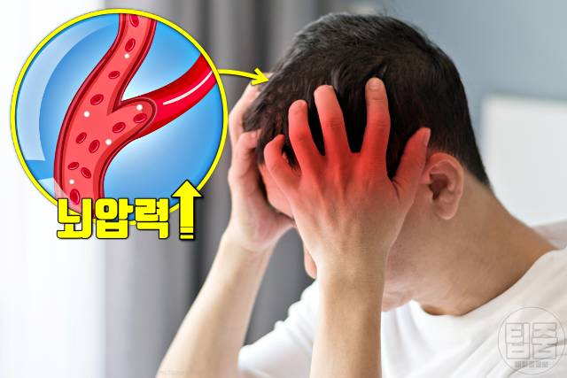 나트륨 과다섭취 증상 두통 나트륨하루권장량