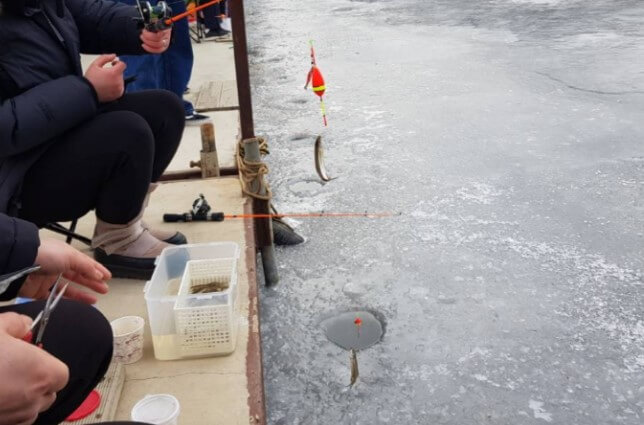 강화 양오 빙어 축제