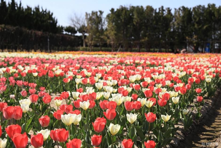 신안 가볼만한곳 베스트10