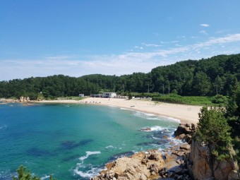 하조대 해변