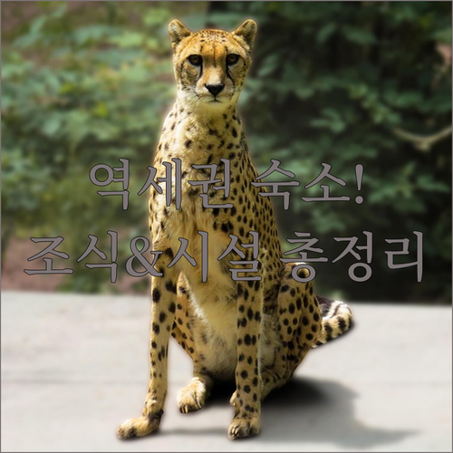 역세권 뉘른베르크 호텔 추천 리스트와..