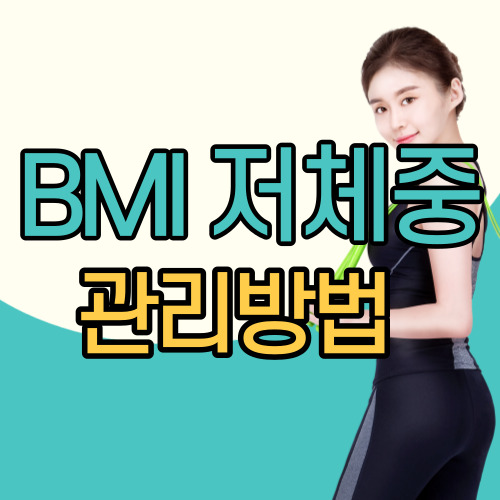 BMI 저체중 관리방법