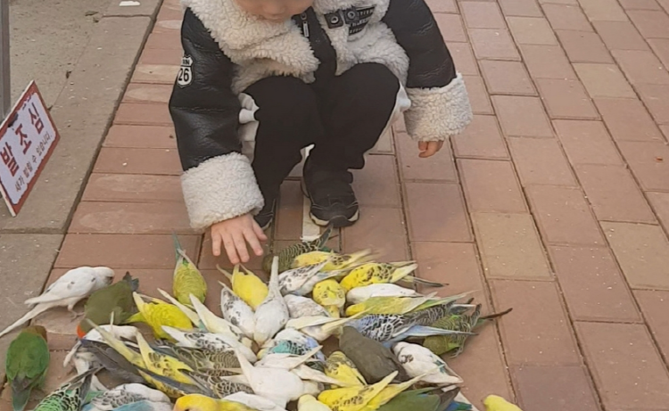 퍼스트가든 별빛축제