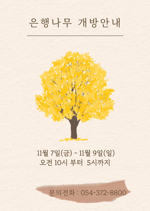 운문사 은행나무 개방일정