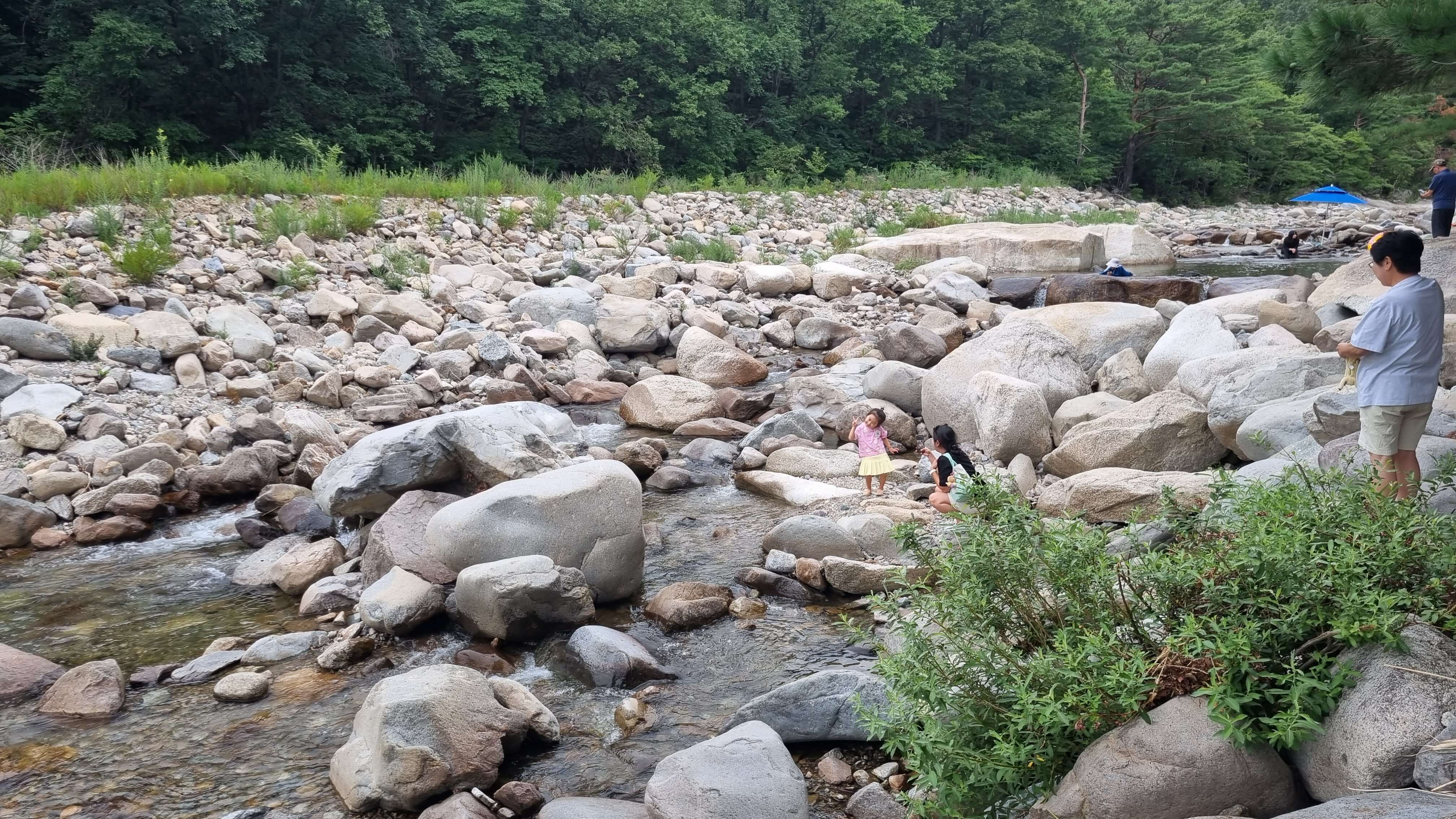 강원도 계곡-사진