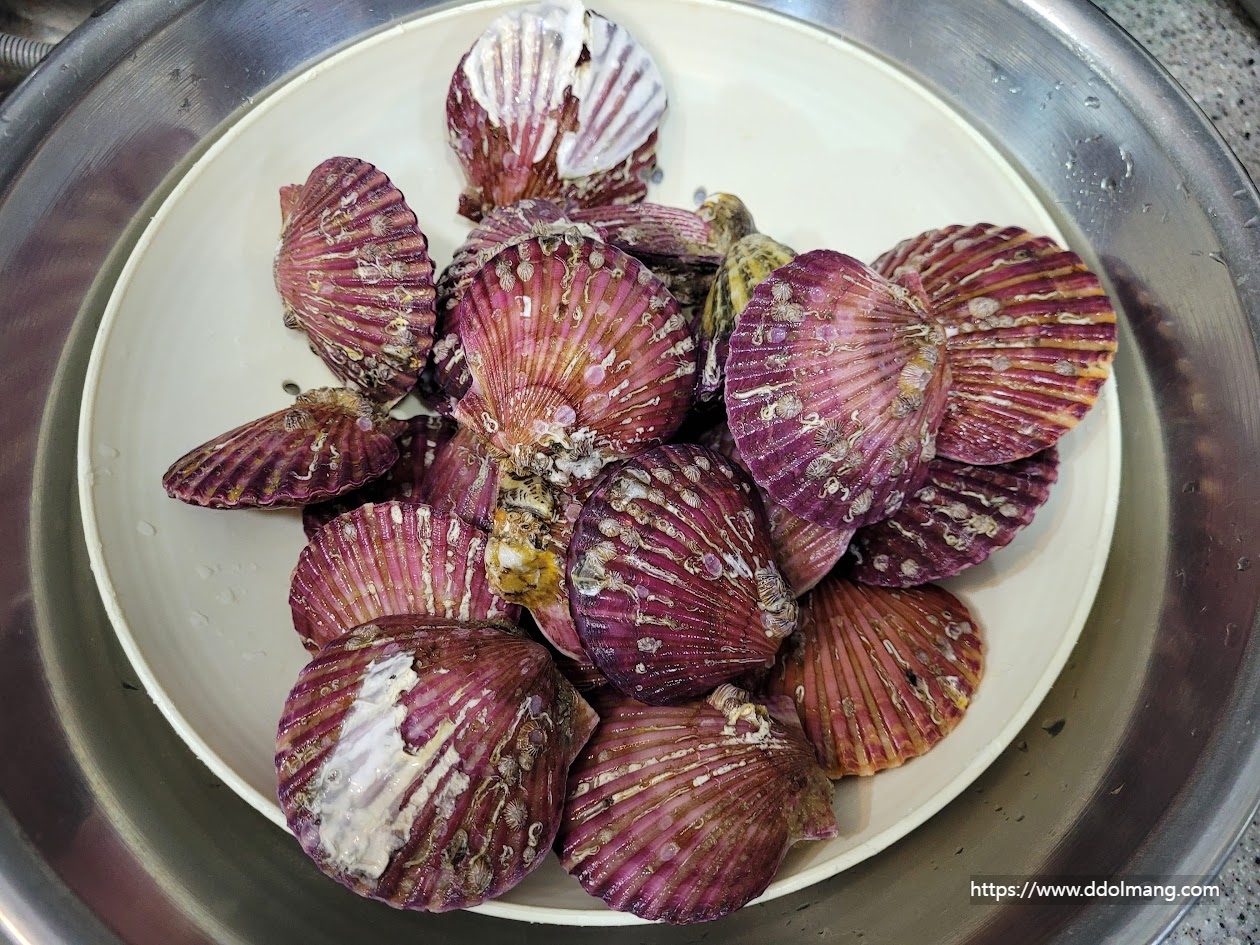 씻어서 채반에 담아 놓은 해만 가리비