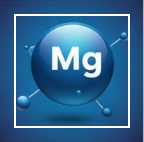 마그네슘 주요 효능