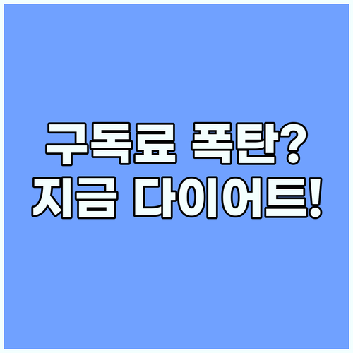 넷플릭스 스트림플레이션 시대에 살아남..