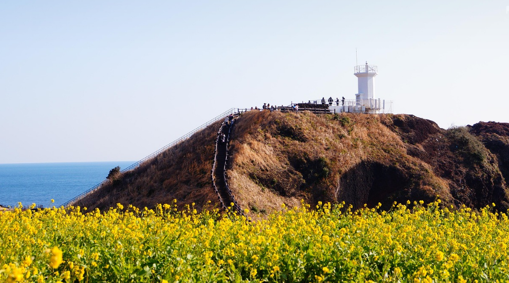 제주도