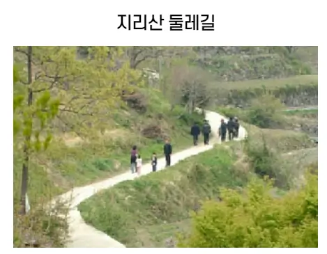 숲길체험-둘레길코스