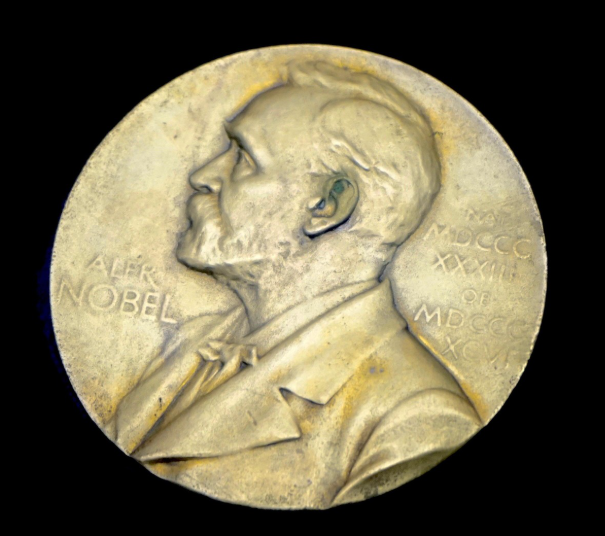 노벨상 동전의 모습