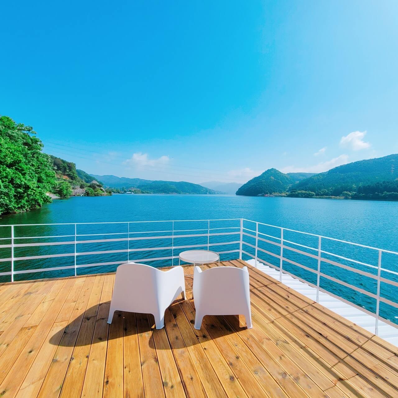 서울&middot;근교 강아지와 함께 갈 수 있는 펫카페 추천 &amp; 방문 꿀팁 총정리