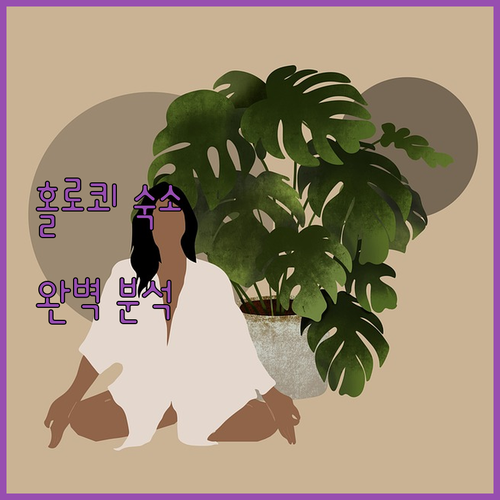 헝가리 노그라드 홀로쾨 숙소 추천 및..