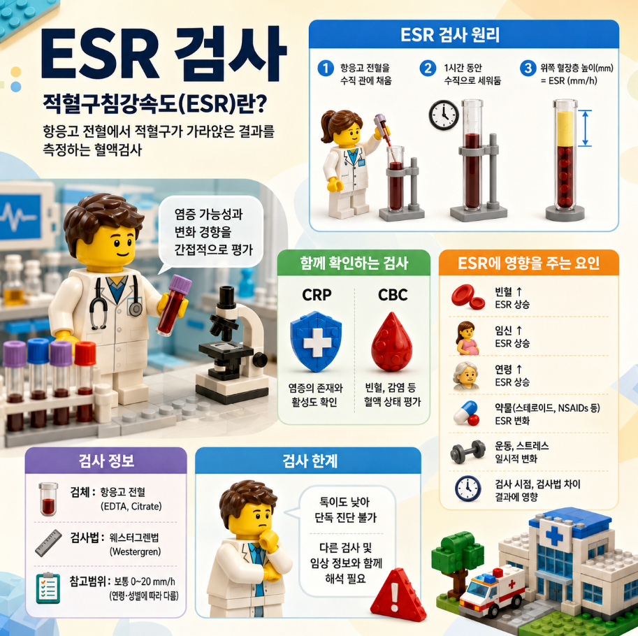 ESR 검사의 원리와 적혈구침강속도 측정 과정을 레고 스타일 의료 인포그래픽으로 설명한 이미지