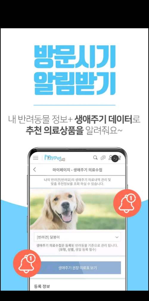 파이펫플러스알림