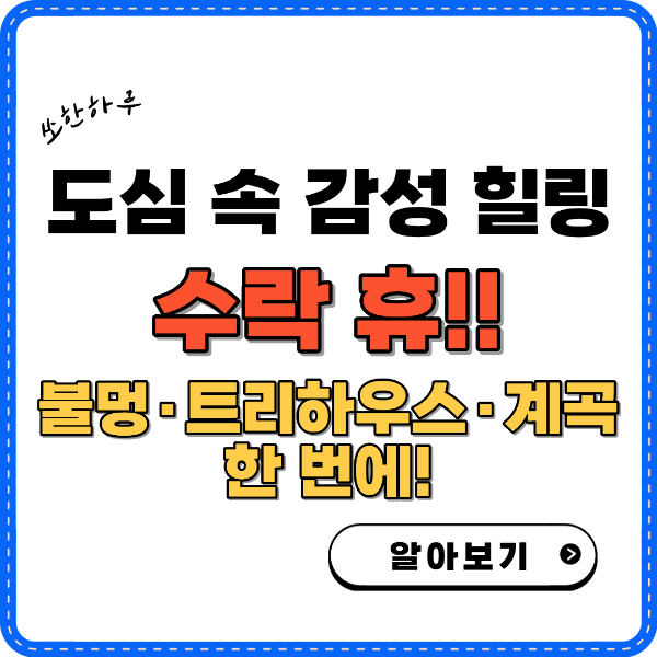 도심 속 감성 힐링 수락휴 썸네일