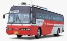 울산 5003번 버스 노선 