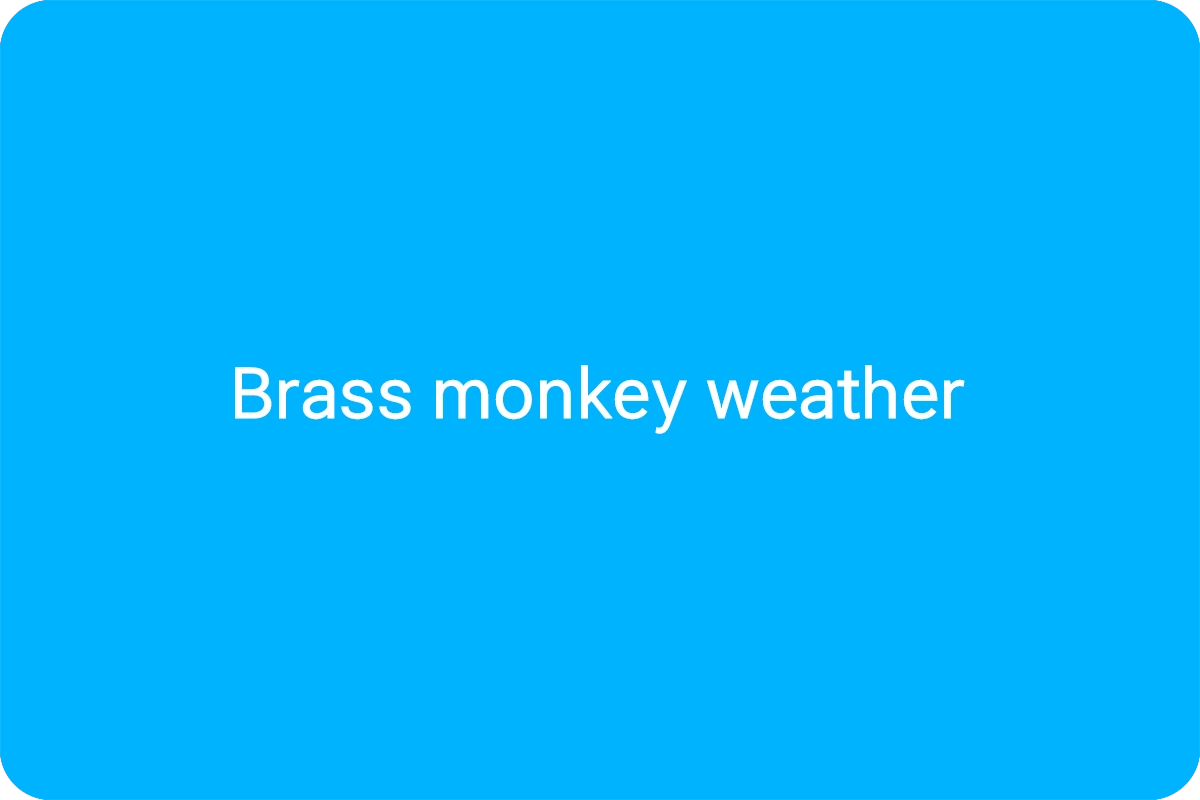 rass monkey weather 뜻