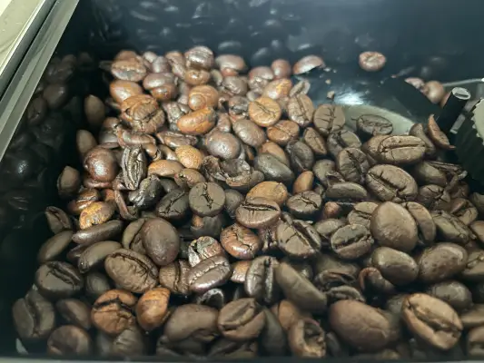 제니퍼룸 커피머신 원두보관함