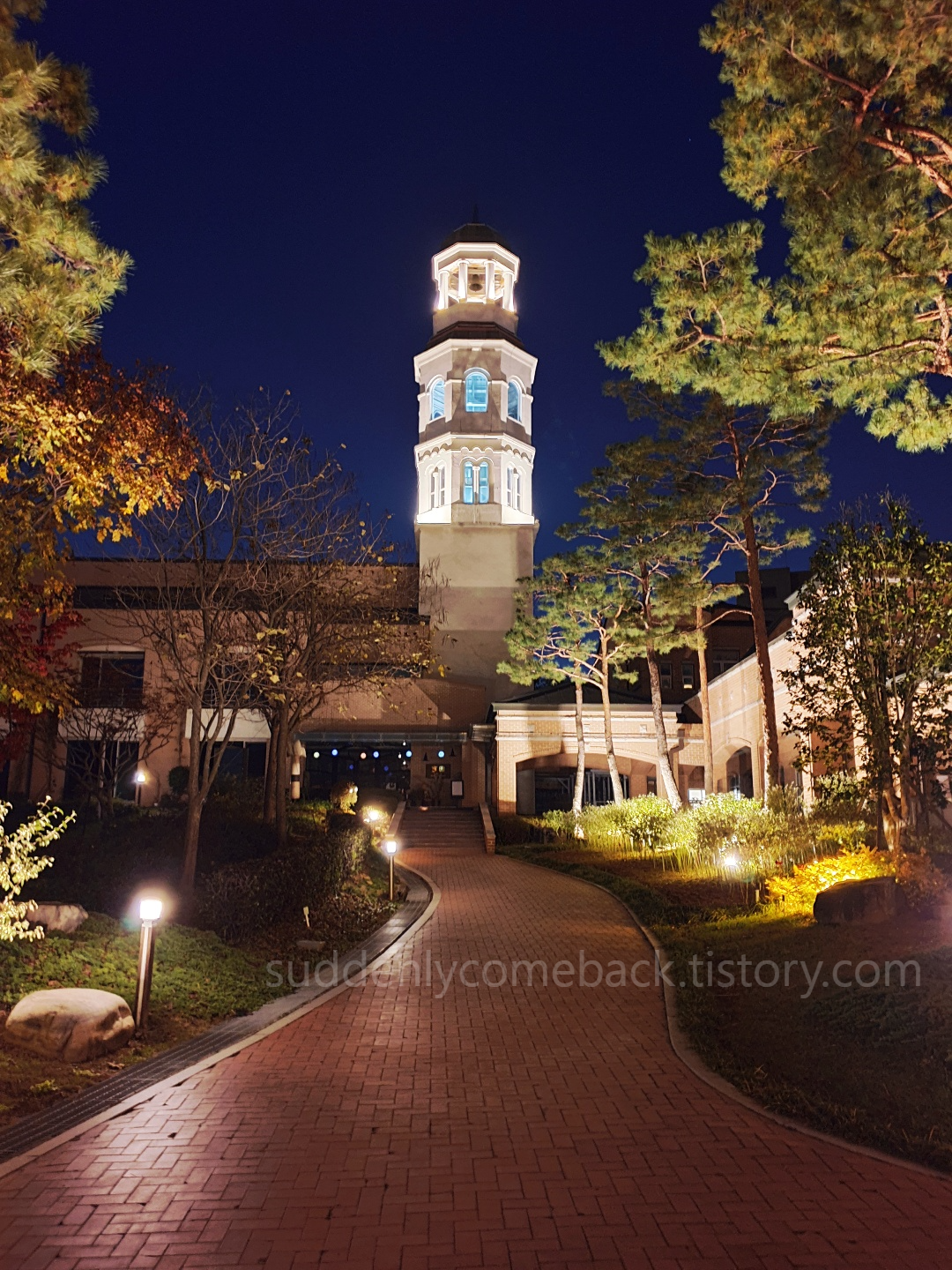 아름다운 벨 타워 야경