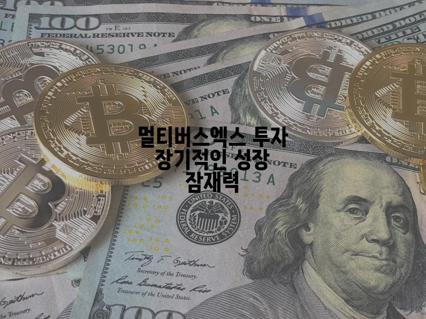 멀티버스엑스 투자 장기적인 성장 잠재력