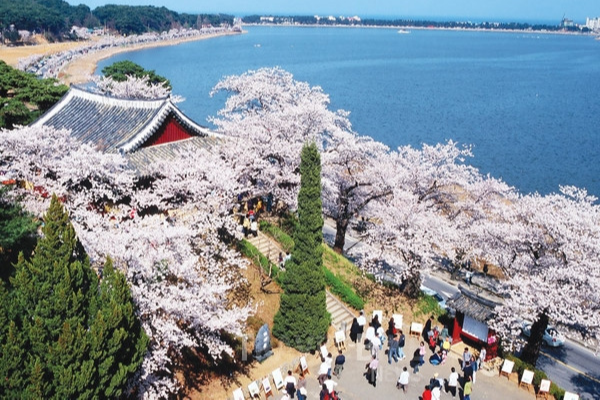 벚꽃 명소 2026