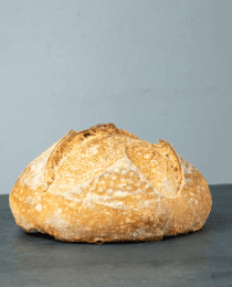 맥주효모의 효능