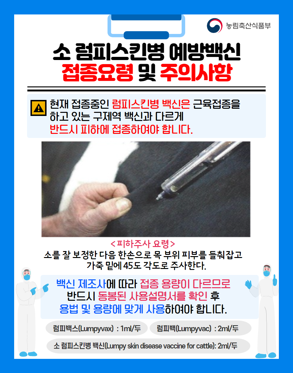 럼피스킨이 사람에게 미치는 영향과 럼피스킨이란?