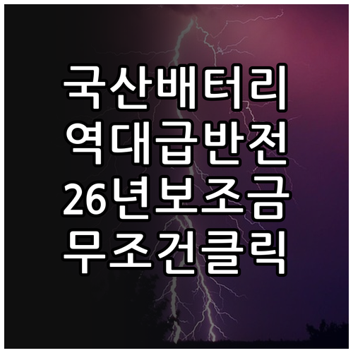 캐스퍼 일렉트릭 국산 배터리 탑재에 ..