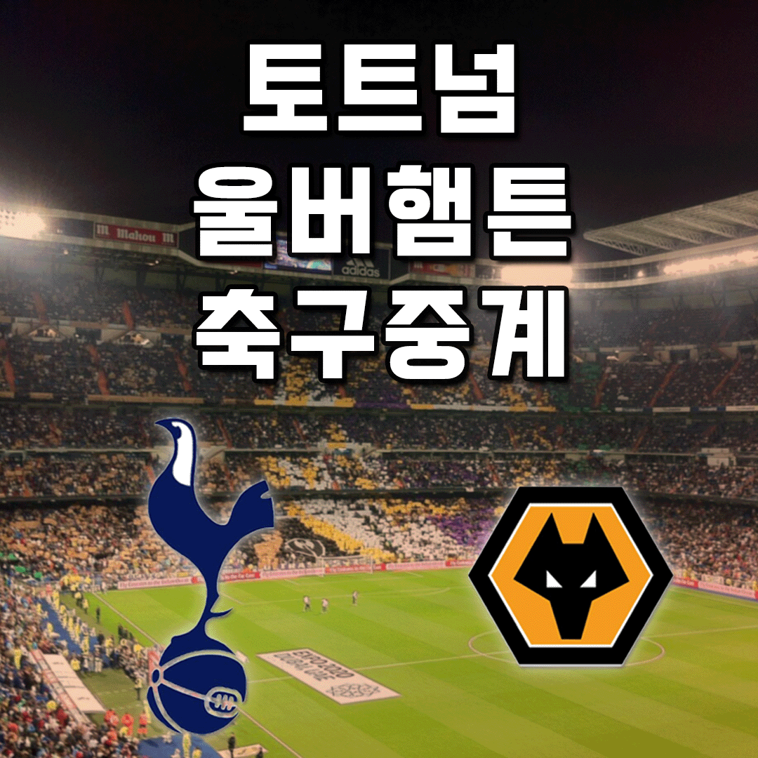 토트넘 울버햄튼 경기보기